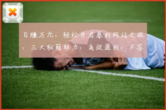 日赚万元，轻松开启暴利网站之旅，三大秘籍助力，高效盈利，不容错过