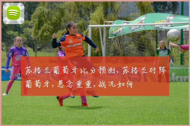 苏格兰葡萄牙比分预测,苏格兰对阵葡萄牙,悬念重重,战况如何