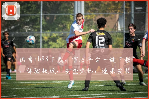 热博rb88下载，官方平台一键下载，体验极致，安全无忧，速来安装